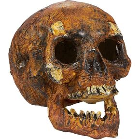 BLUE PANDA Plastic Skull for Halloween, Prop Skeleton Head Decoration for Trick-or-Treating, (5.7 x 7 x 7.5 Inches)
