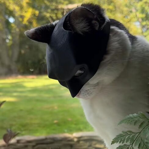 Funny Cat Bat Cosplay Hat, 2024 New Cat Bat Cosplay Mask, Cat Mask, Mask for Halloween Cosplay in Saudi Arabia