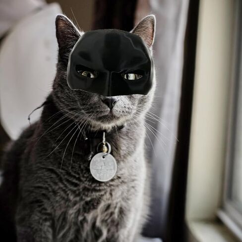Funny Cat Bat Cosplay Hat, 2024 New Cat Bat Cosplay Mask, Cat Mask, Mask for Halloween Cosplay in Saudi Arabia