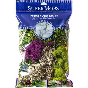 SuperMoss (23311) Elegant Decorative Mixed moss, MultiColor, 120 cu.in., white