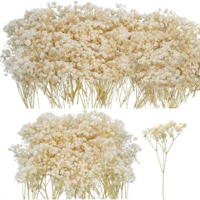 50Pcs Mini Dried Baby's Breath Flowers for Resin Art Craft DIY, 3000+ Natural Ivory White Bulk Flowers, Pressed Gypsophila Bouquet Gift for Mother, Wedding Wreath, Card Making, Home Decor