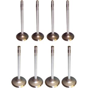 DNJ VK8448 Exhaust Intake Valve Kit for 1995 to 2001 Ford, Mazda L4 2.3L, 2.5L SOHC 8V EV448 X4 IV448 X4