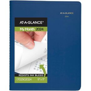 AT-A-GLANCE 2025 Planner, Monthly, 9" x 11", Large, Fashion, Red (702501325)