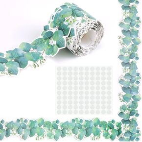 49Ft Bulletin Board Borders Card, Eucalyptus Die-Cut Border Trim Blackboard Borders with 100Pcs Clear Double Sided Stickers, Greenery Classroom Decor for Home, School and Farmhouse Decorations
