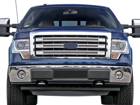 APS Compatible with Ford F-150 2009-2014 Lower Bumper Stainless Steel Black Mesh Grille Insert F76789H in Saudi Arabia