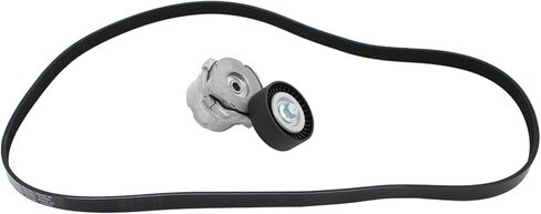 مجموعة شداد الحزام MOTOKU مع بكرة وحزام لـ 5.0L Ford Mustang 2011-2012 2015-2017 F-150 2011-2022 in Saudi Arabia