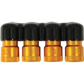 Lang Tools 401 Rapid Deflator with TPMS Location Marks