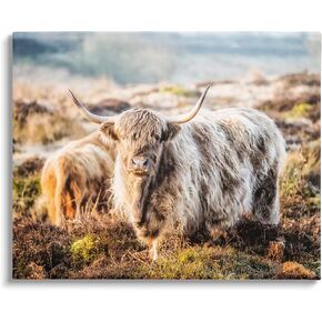 Stupell Industries Pleasant Highland Cattle Grazing Mossy Pasture At Dawn Floating Framed Wall Art, Design By James Dobson