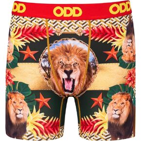 Odd Sox Men's Novelty Underwear Boxer Briefs, Lions High Fashion