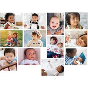 12 Pcs Diversity Posters for Classroom Preschool Educational Learning Real Pictures for Daycare Home Multicultural Awareness(Ocean Animals)