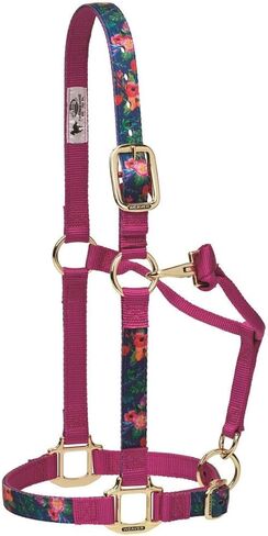 Weaver Leather Adjustable Patterned Nylon Horse Halter in Kuwait