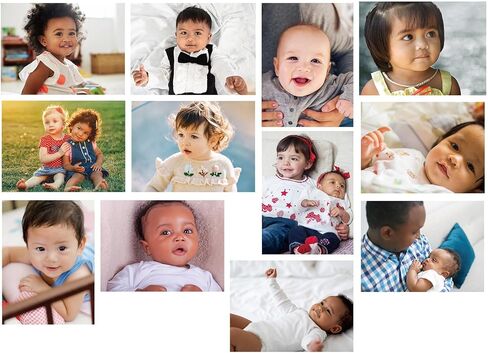 12 Pcs Diversity Posters for Classroom Preschool Educational Learning Real Pictures for Daycare Home Multicultural Awareness(Ocean Animals) in Kuwait