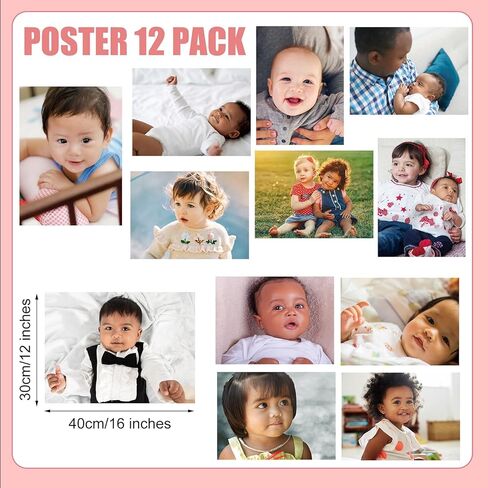 12 Pcs Diversity Posters for Classroom Preschool Educational Learning Real Pictures for Daycare Home Multicultural Awareness(Ocean Animals) in Kuwait