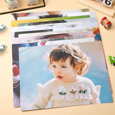 12 Pcs Diversity Posters for Classroom Preschool Educational Learning Real Pictures for Daycare Home Multicultural Awareness(Ocean Animals) in Kuwait