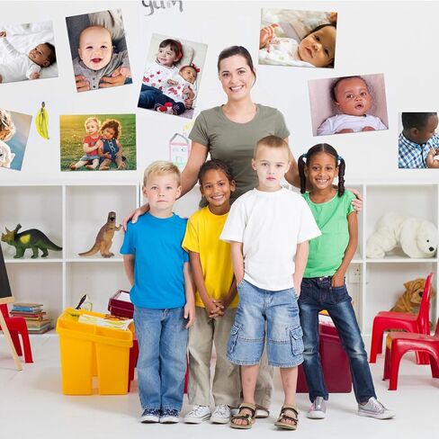 12 Pcs Diversity Posters for Classroom Preschool Educational Learning Real Pictures for Daycare Home Multicultural Awareness(Ocean Animals) in Kuwait