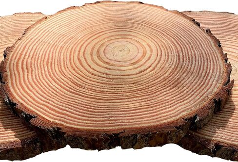 Rustic Wood Slices Set of (14) 9-10 inch Wood Slices! Wood Slices for centerpieces, Natural Wood Slices, Large Wood Slices (14) in Saudi Arabia