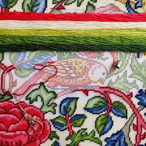 Floral Embroidery Kit for Adults and Beginners — Lodden. Carnations by William Morris 16″ × 16″ with Clear, Precise Printed Design on Cotton Canvas; Includes 2 Needles, Yarn, and Easy-Read Chart in Saudi Arabia