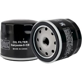 Road Passion Oil Filter for DUCATI MULTISTRADA 1200 ENDURO/PIKES PEAK 1198 2016 (pack of 2)
