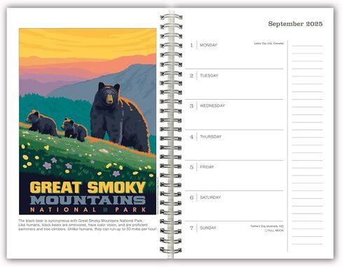 2025 Weekly & Monthly Planner, 16-Month Engagement Calendar: September 2024 - December 2025, 9" x 6" - Illustrated National Parks in Saudi Arabia