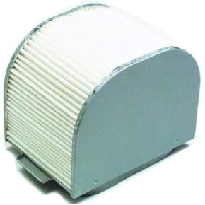 Hiflofiltro HFA4609 Premium OE Replacement Air Filter, Black