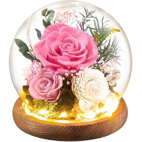 Preserved Flowers in Glass Ball with Led Strip 2-Piece Forever Real Roses Gift for Women on Anniversary, Christmas, Valentine's Day (Light Purple)