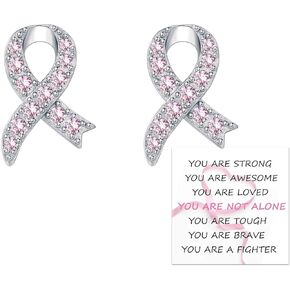Breast Cancer Awareness Earrings 925 Sterling Silver Pink Ribbon Stud Bracelet Necklace Jewelry Survivor Gifts for Women
