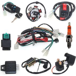 Wire Harness Complete 6 Coil Stator CDI Wiring Harness for 49cc 50cc 70cc 90cc 110cc 125cc 150cc GY6 Taotao Kazuma Baja ATV Dune Buggy Go Kart Scooter Pit Bike Quad Moped 4 Stroke Engine Harness