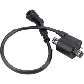 Ignition Coil for 50cc 90cc 110cc 125cc 150cc 200cc 250cc ATV Quad Dirt Pit Bike Scooter Buggy Motorcycle Go Kart
