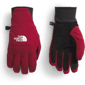 THE NORTH FACE Womens Shelbe Raschel Etip™ Glove