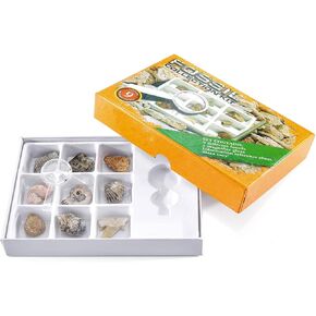Top Plaza Healing Crystals Gift Box Variety Tumbled Stone Irregular Nautral Shape Reiki Gemstone Specimen Set Mineral Rock Fossils Kit #4