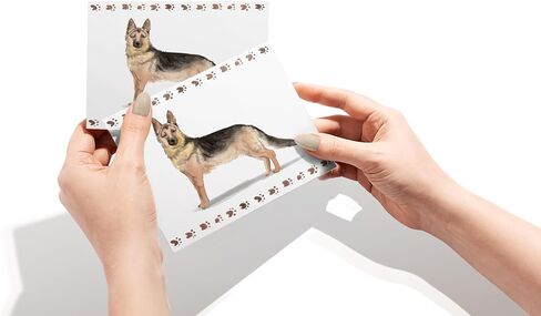 Twigs Paper - Boxer Dog Note Cards - Set of 12 Blank Cards (5.5 x 4.25 Inch) with 12 Envelopes - 100% EcoFriendly Stationery - Made In USA in Saudi Arabia