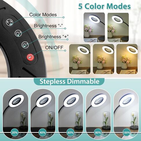 10X Magnifying Glass with Light and Stand, Flexible Gooseneck Magnifying Desk Lamp, 5 Color Modes Stepless Dimmable, Hands Free LED Lighted Magnifier for Painting Crafts Hobby Sewing Close Work in Saudi Arabia