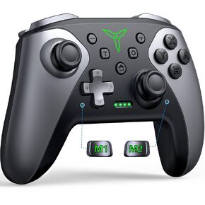ELISWEEN Switch Controller with Receiver for Switch
