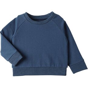 DEFAHN Toddler Baby Pullover Sweatshirt,Long Sleeve Infant Boy Girl Crewneck Active Tshirts 6 Month-3Y
