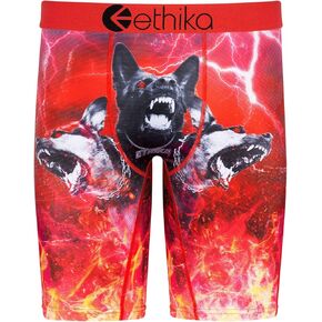 Ethika Mens Boxer Brief | Cerebrus