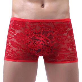 Mens Lace Boxers Briefs Sheer Underwear Sissy Panties Sexy Lingerie for Men