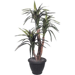 Vickerman 4' Indoor Artificial Marginata Extra Full Bush, Gray Plastic Container.