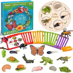 Life Cycle Learning Education Toys, Insect Caterpillar to Butterfly kit, Ladybug, Bee, Tadpole to Frog Kit Life Cycle Toys for Kids, Preschool Learning Activities for Age 3 4 5 6 7 8