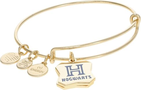 Alex and Ani Harry Potter، Wizards Welcome Duo Charm سوار قابل للتوسيع، ذهبي لامع، أزرق، أساور in Saudi Arabia