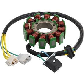 WOOSTAR 12 Coil Magneto Stator Replacement for Hyosung GT125 GT250 GV125 GV250 GV125R GV250R Pocket Bike Cruiser Motorcycle 2002-2010 Engine