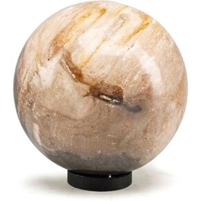 KALIFANO - 5" Black Petrified Wood Sphere, Natural Earthy Elegance for Your Space, Office or Home Decor
