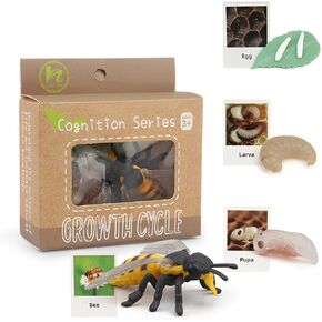 Montessori Life Cycle Learning & Education Toys - Plastic Insect Ladybug, Monarch Butterfly, and Tadpole-to-Frog Kit for Kids, Preschool Learning Activities for Toddlers