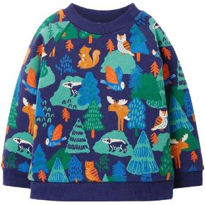 Toddler Little Boys Sweatshirt Long Sleeve Crewneck Pullover Sweatshirt Printed Top Shirt Outfit for 2-7 Years
