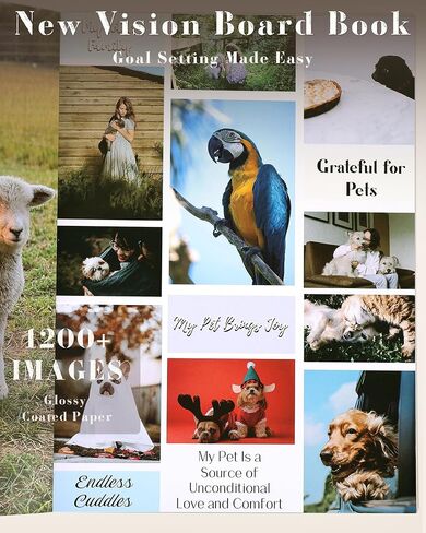 كتاب لوحة الرؤية - أكثر من 850 صورة واقتباسات من لوحة الرؤية المصنفة لتصور أحلامك وأهداف حياتك، ومستلزمات لوحة الرؤية للقصاصات الفنية والكتاب المجمع in Saudi Arabia