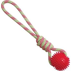 Health Extension SNUG AROOZ Spike-O-Mite, Tug Dog Toys for Aggressive Chewers, Strong Dog Rope Toy with Rubber Ball, & Durable Puppy Teething Chew Toys (16 Inches - Assorted Colors)