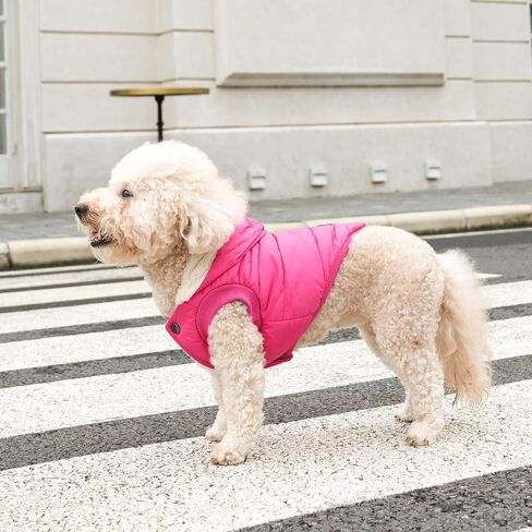 Vecomfy Warm Dog Coats with Hoodie,Winter Dog Jackets for Small Dogs in Saudi Arabia