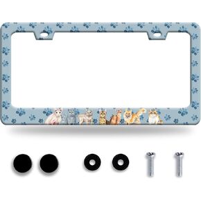 Personalise Spooky Girl License Plate Frame Gothic License Plate Frames Car Universal Stainless Steel Accessories Cars Decor with 2 Holes and Screws Fits Standard Us Vehicles Size 12.2 X 6 Inches