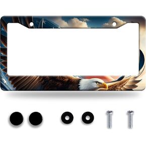 Personalise Spooky Girl License Plate Frame Gothic License Plate Frames Car Universal Stainless Steel Accessories Cars Decor with 2 Holes and Screws Fits Standard Us Vehicles Size 12.2 X 6 Inches