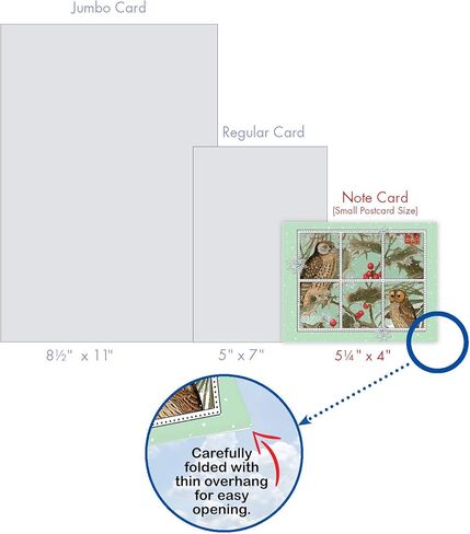 The Best Card Company - 10 بطاقات ملاحظات فارغة لعيد الميلاد المجيد (4 × 5.12 بوصة) - بطاقات ملاحظات للعطلات في صندوق مع مغلفات - عيد الميلاد الأزرق M6700XSB in Kuwait