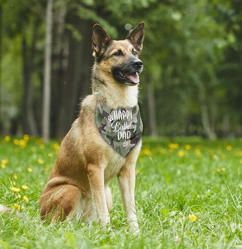 Dog Bandana,Happy Birthday Dad Dog Bandana, Dog Scarf Classical White Printing, Dog Scarf Accessories, Dog Bandana Pet Scarf, Pet Scarf Accessories, Dog Bandana Gift for Dad Birthday Party (K30) in Saudi Arabia